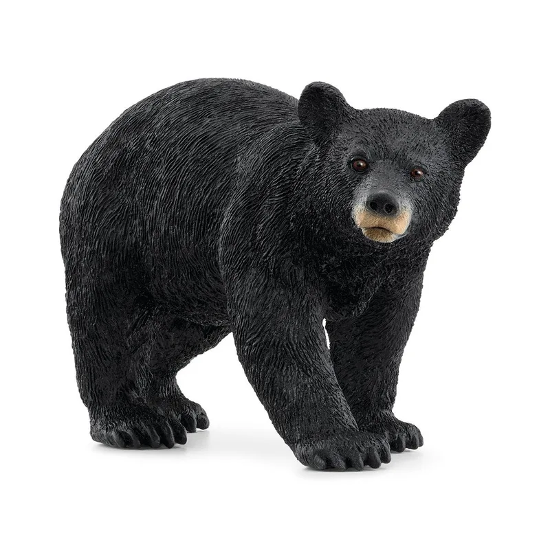 14869 American Black Bear by Schleich – product photo 1 of 2