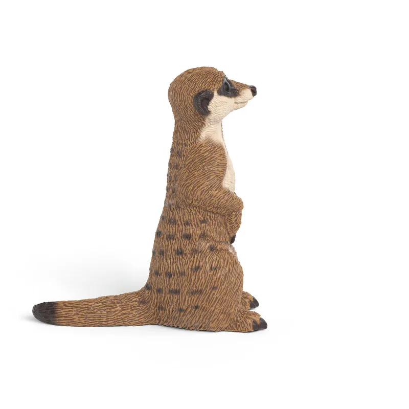 14935 Meerkat de Schleich – photo du produit 2 sur 2