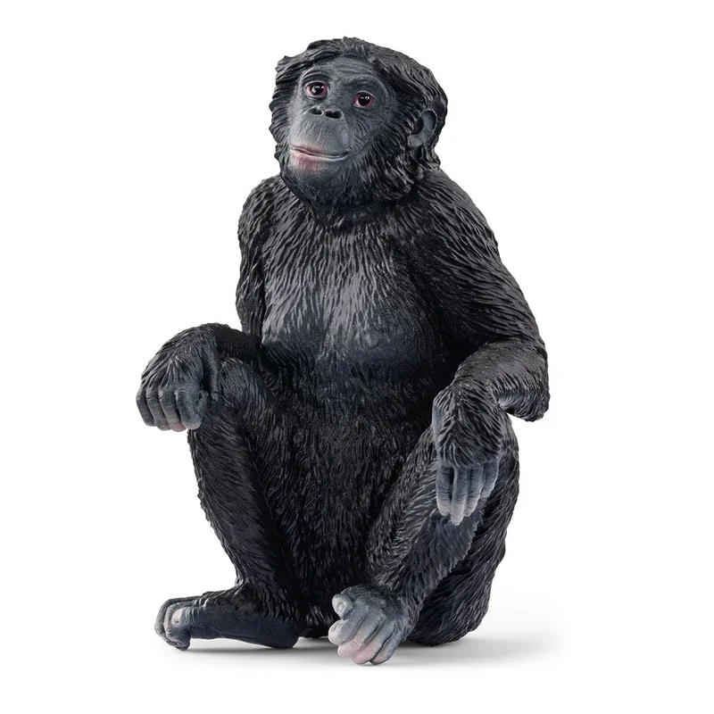 14943 Bonobo Female (circular) by Schleich – product photo