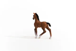 13947 Oldenburger Foal från Schleich – produktbild 3 av 4