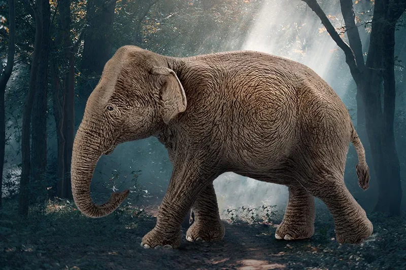 Asiatische Elefantenkuh (bundle) by Schleich – product photo 2 of 2