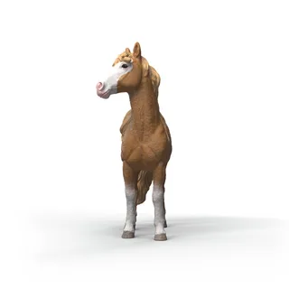 14920 Mustang Mare de Schleich – photo du produit 3 sur 4