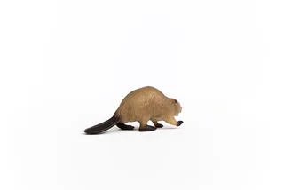 14855 Beaver de Schleich – photo du produit 3 sur 4