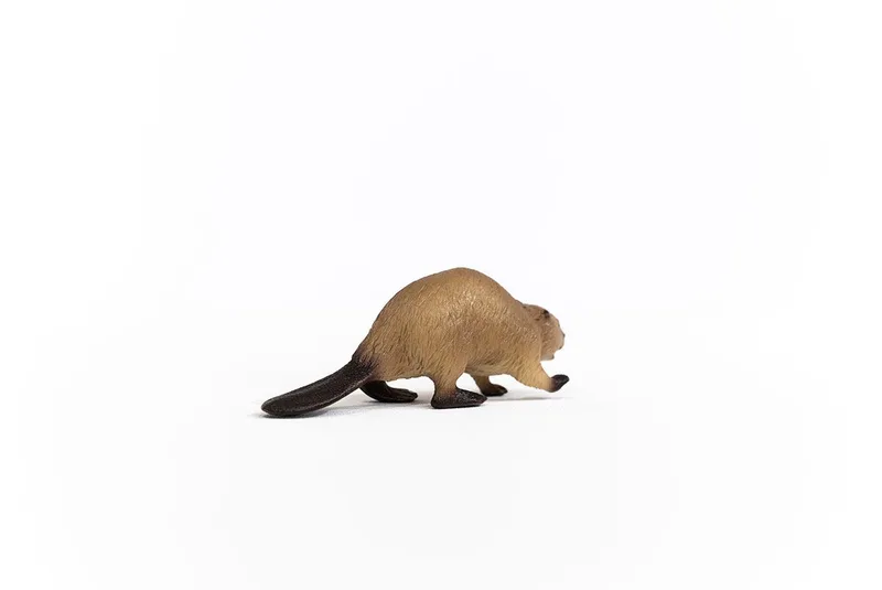 14855 Beaver de Schleich – photo du produit 3 sur 4