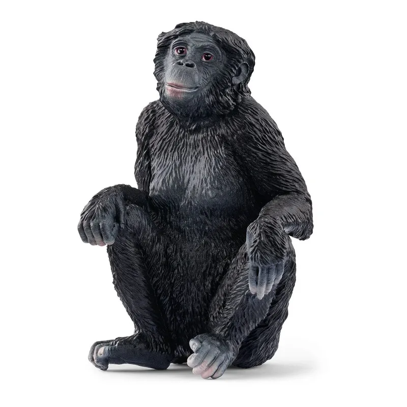 Bonobo Weibchen (bundle) de Schleich – photo du produit