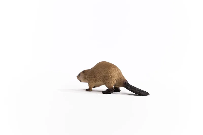 14855 Beaver de Schleich – photo du produit 2 sur 4