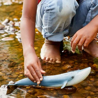 14806 Blue whale från Schleich – miljöbild 3 av 3