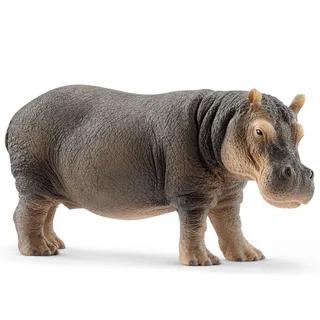 Flusspferd (bundle) de Schleich – photo du produit 1 sur 3