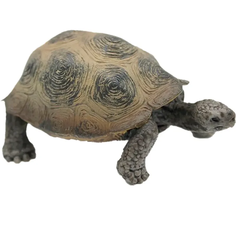 Giant Tortoise Figuur fra Schleich – produktbillede