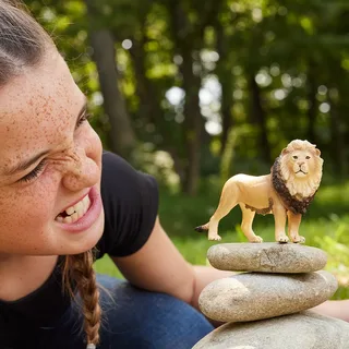 Löwe (bundle) by Schleich – product photo 3 of 4