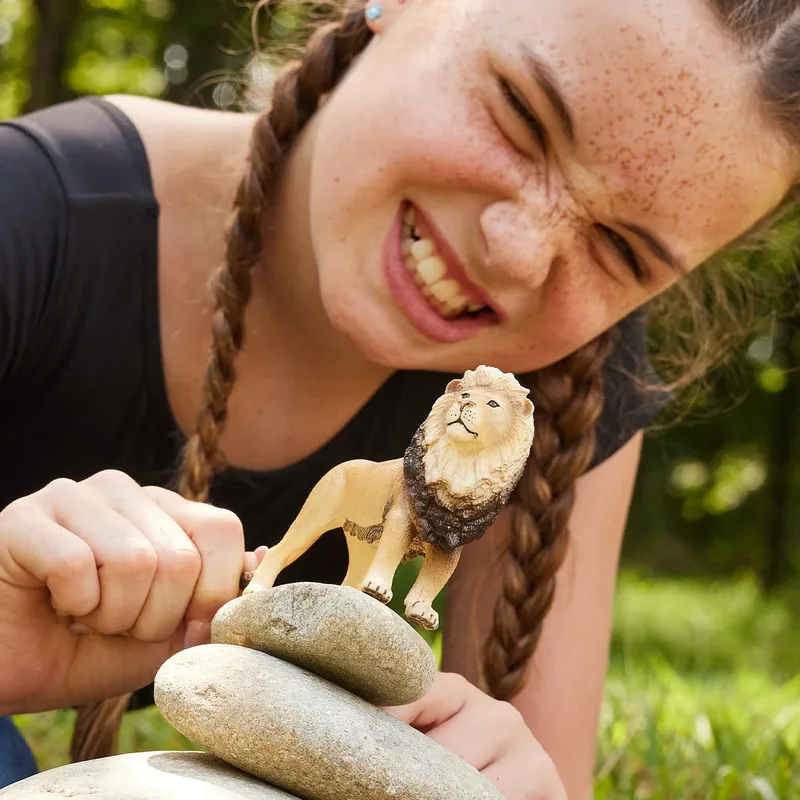 Löwe (bundle) by Schleich – product photo 4 of 4