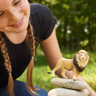 Löwe (bundle) by Schleich – product photo 2 of 4