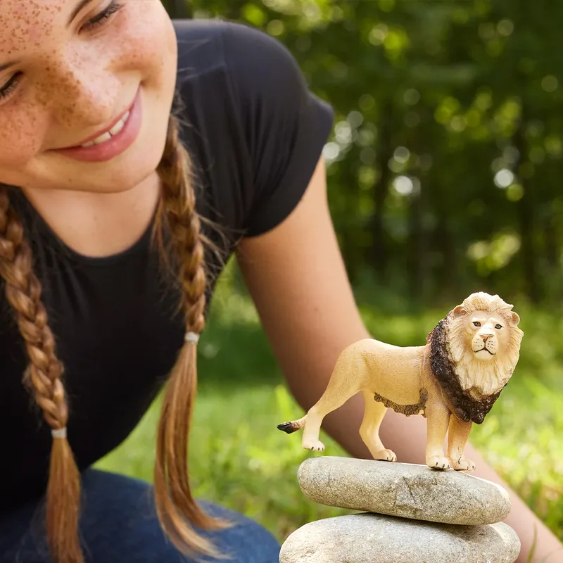 Löwe (bundle) by Schleich – product photo 2 of 4