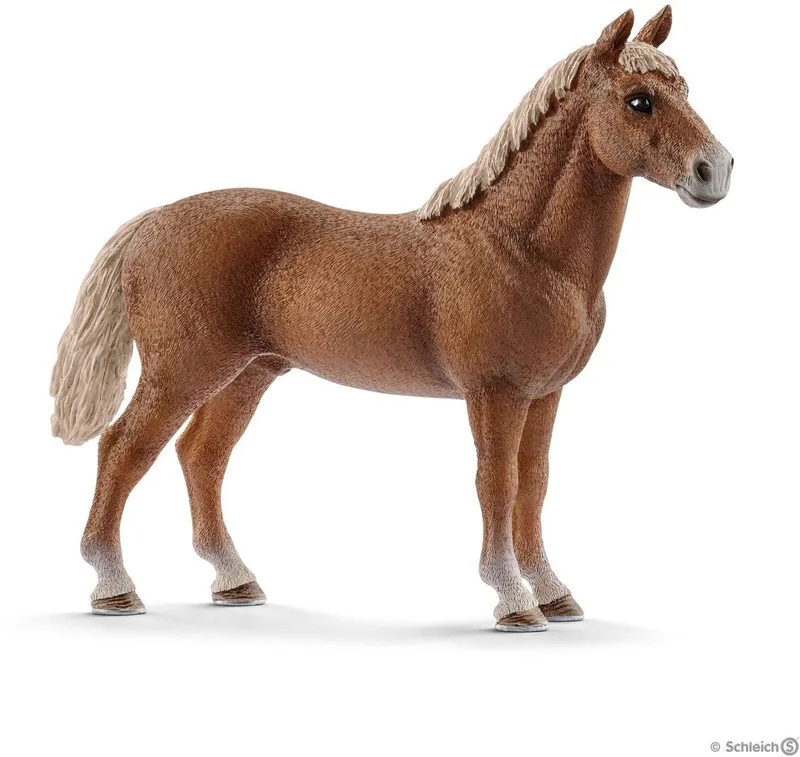 morgan horse hengst de Schleich en Multikleur – photo du produit