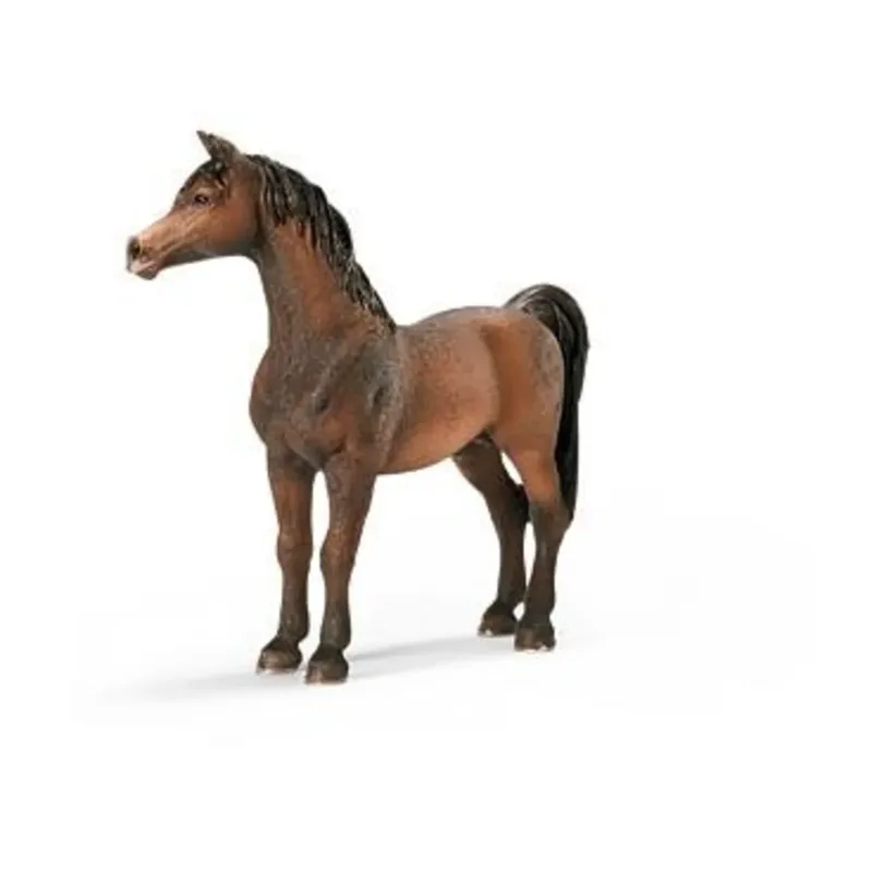 schleich® 13629 HORSE CLUB Araber Hengst by Schleich – product photo