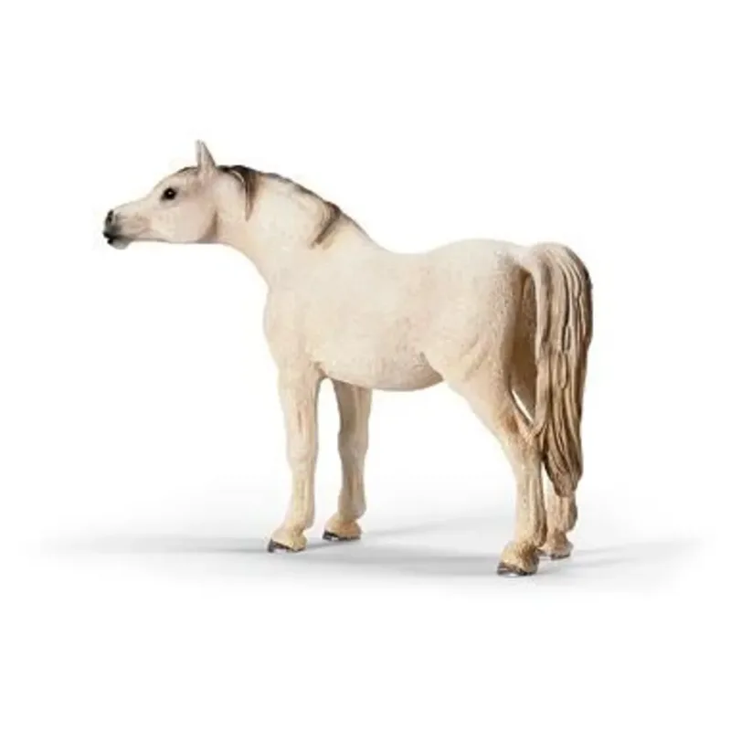 schleich® 13630 HORSE CLUB Araber Stute by Schleich – product photo