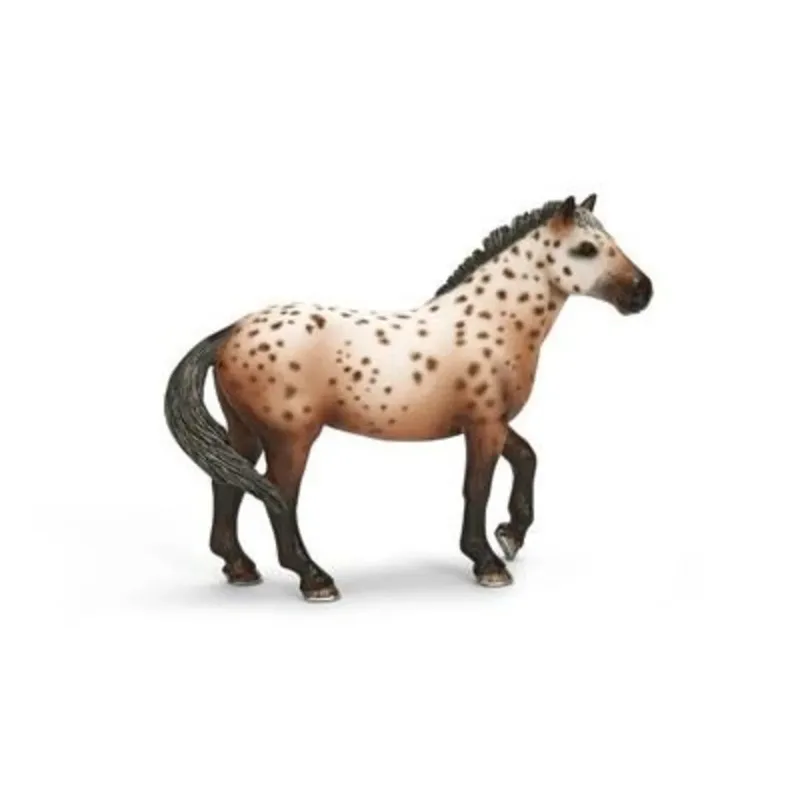 schleich® 13689 HORSE CLUB Knabstrupper Hengst by Schleich – product photo