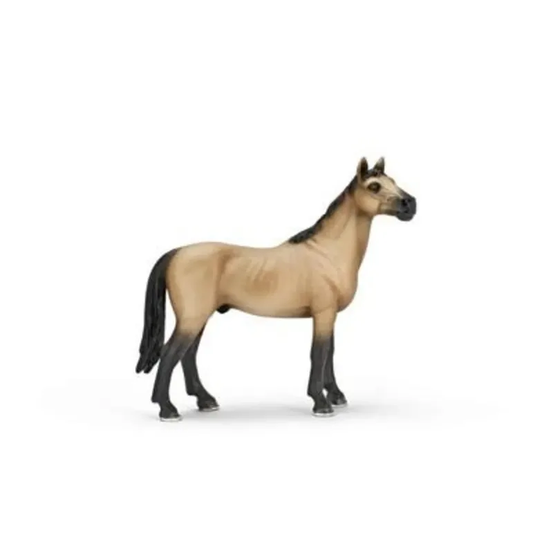 schleich® 13690 HORSE CLUB Achal Trekinger Hengst by Schleich – product photo