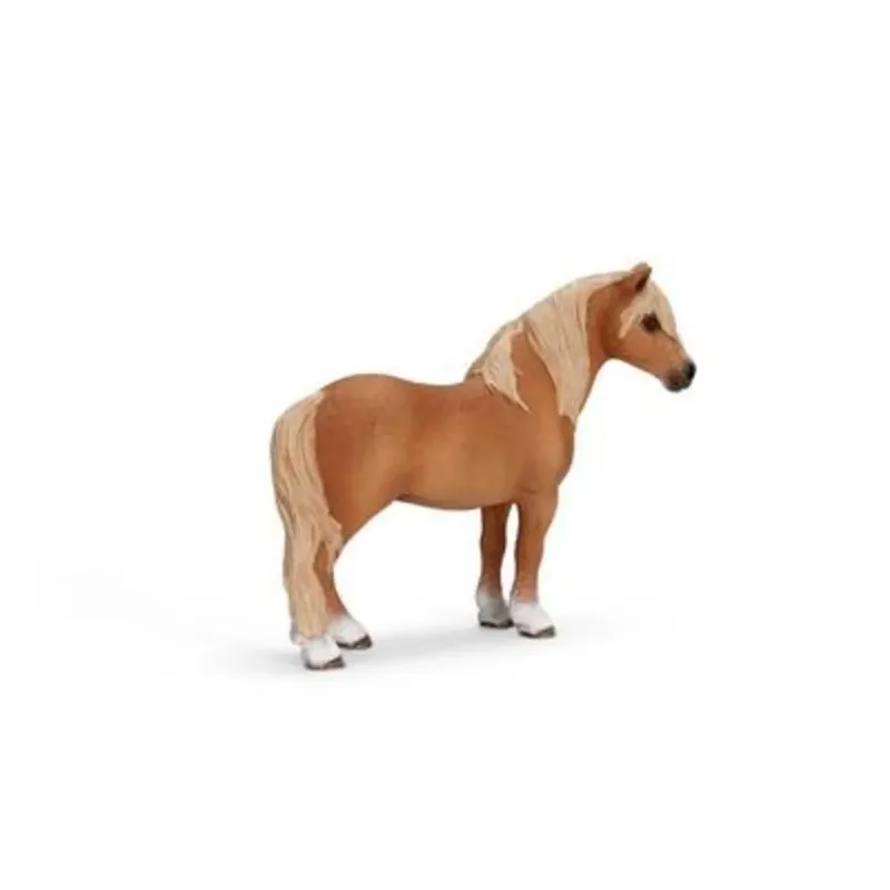 schleich® 13692 HORSE CLUB Dartmoor Hengst by Schleich – product photo
