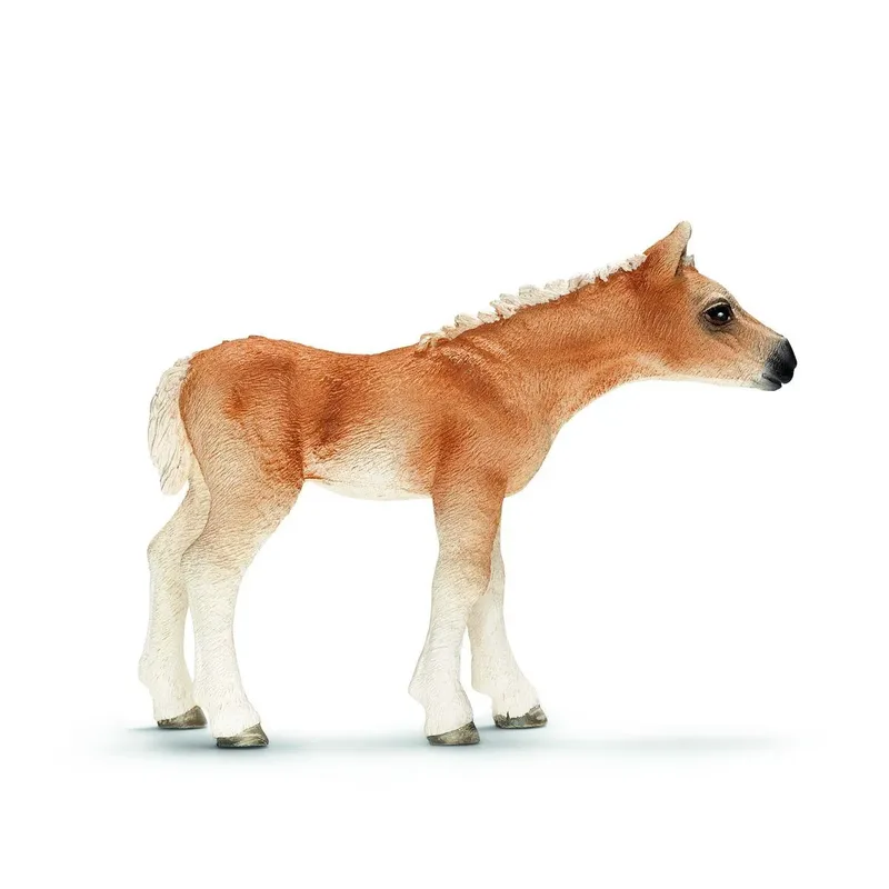 schleich® 13699 HORSE CLUB Haflinger Fohlen by Schleich – product photo
