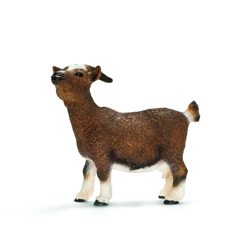 schleich® 13715 Zwergziege by Schleich – product photo