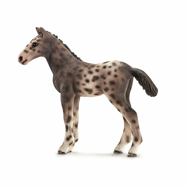 schleich® 13760 HORSE CLUB Knabstrupper Fohlen by Schleich – product photo