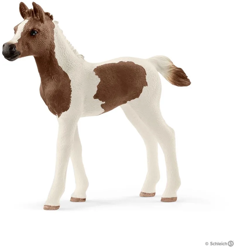 Schleich 13839 Pintabian Veulen by Schleich in Wit – product photo