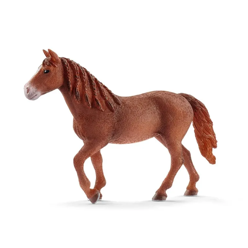 schleich® 13870 Morgan Horse Stute by Schleich – product photo