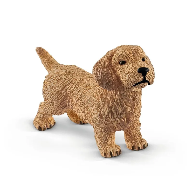schleich® 13891 Dackel van Schleich – productfoto