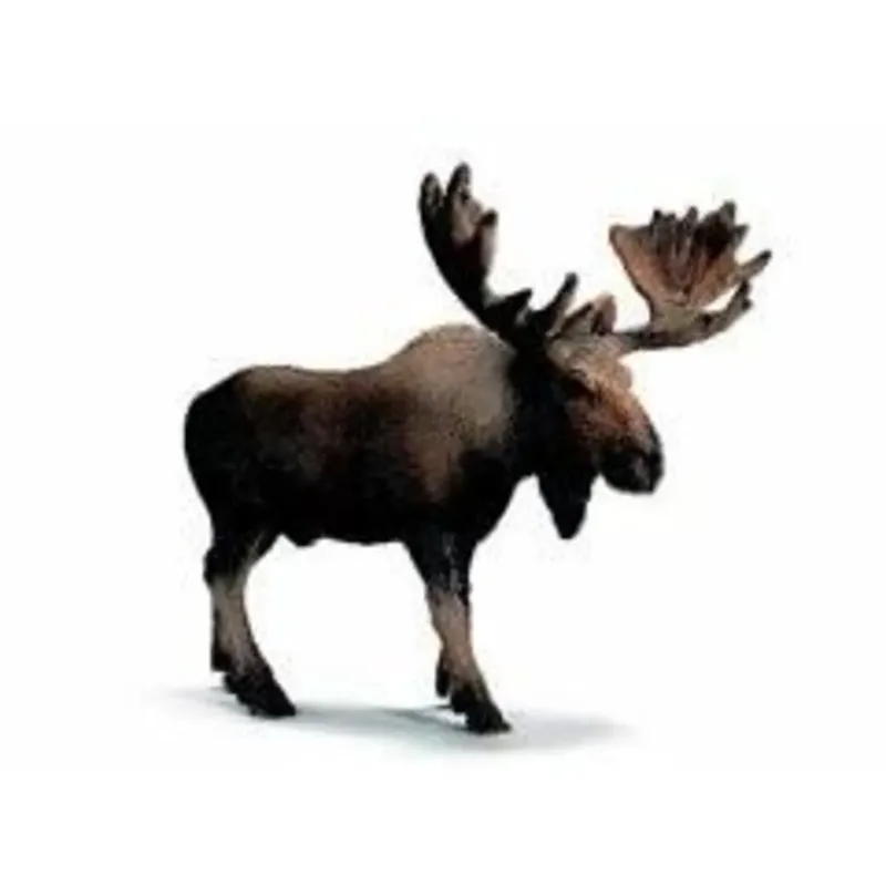 schleich® 14310 Elch van Schleich – productfoto