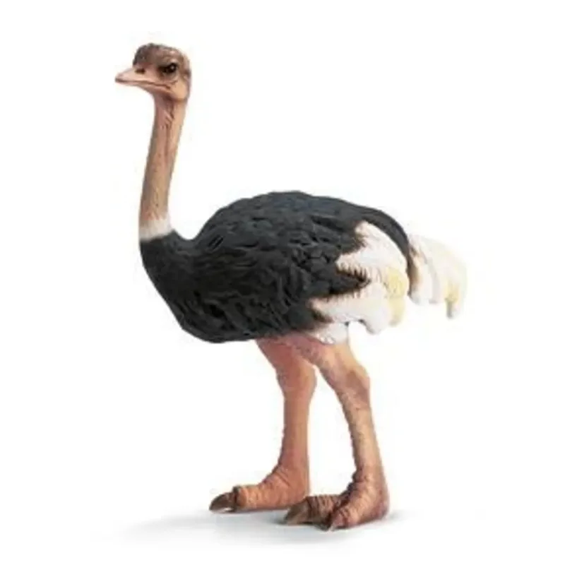 schleich® 14325 Strauß van Schleich – productfoto