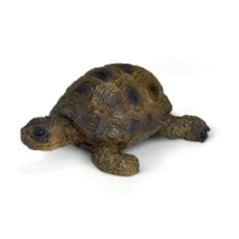 schleich® 14404 Schildkröte de Schleich – photo du produit