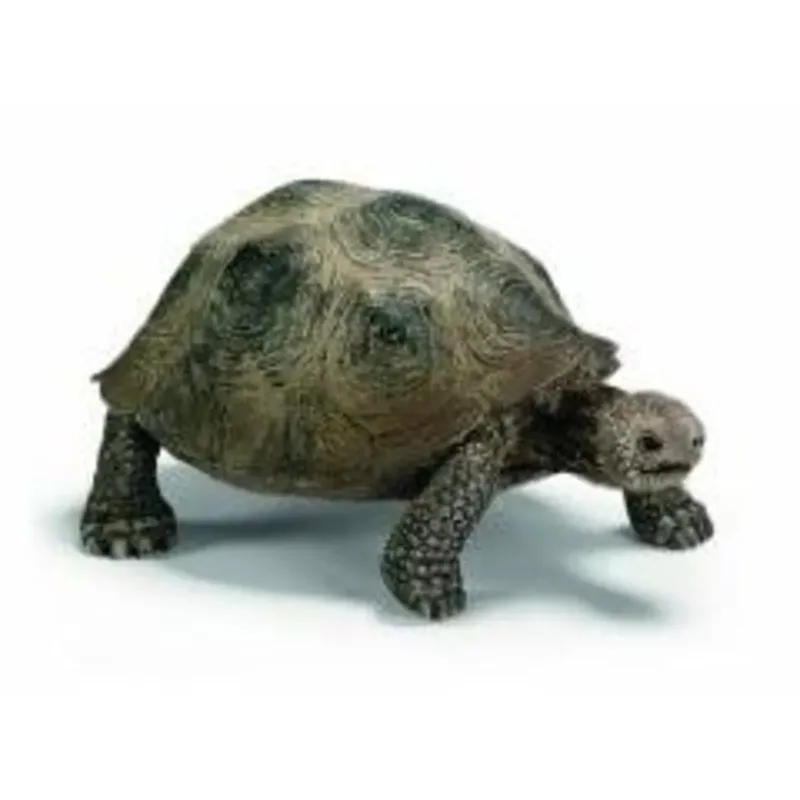 schleich® 14601 Riesenschildkröte de Schleich – photo du produit