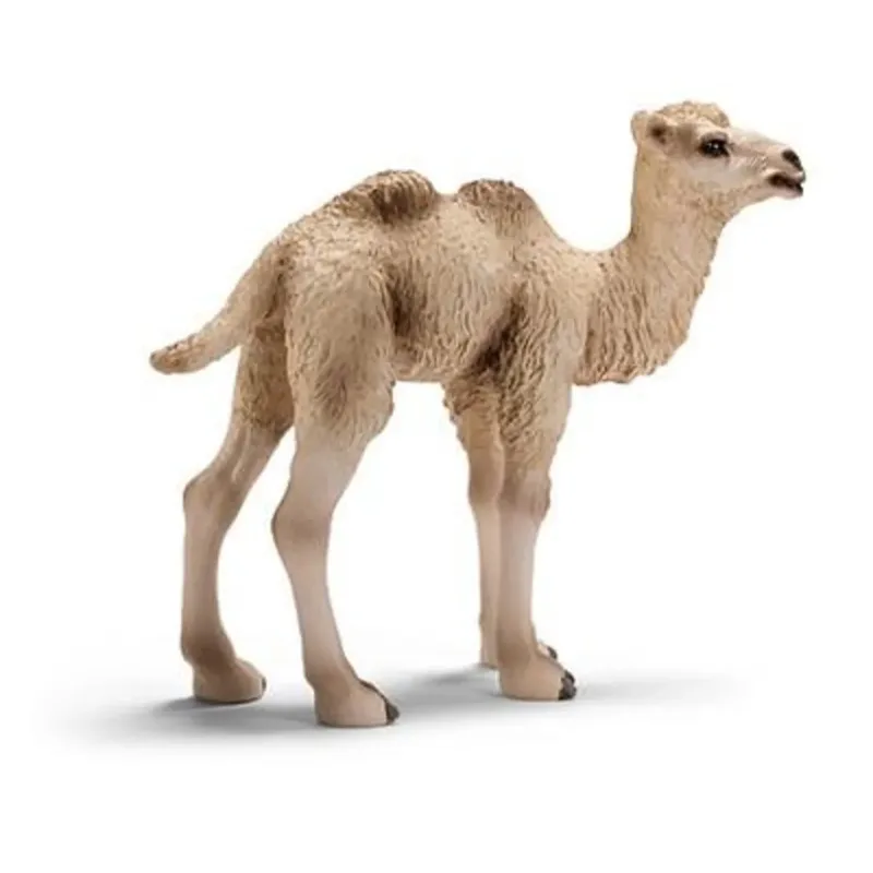 schleich® 14602 Trampeltier Fohlen by Schleich – product photo