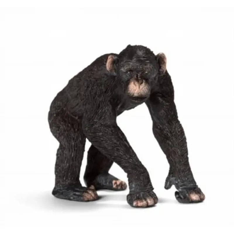 schleich® 14678 SchimpansenMännchen de Schleich – photo du produit