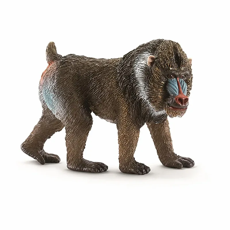 schleich® 14715 Mandrill Männchen de Schleich – photo du produit