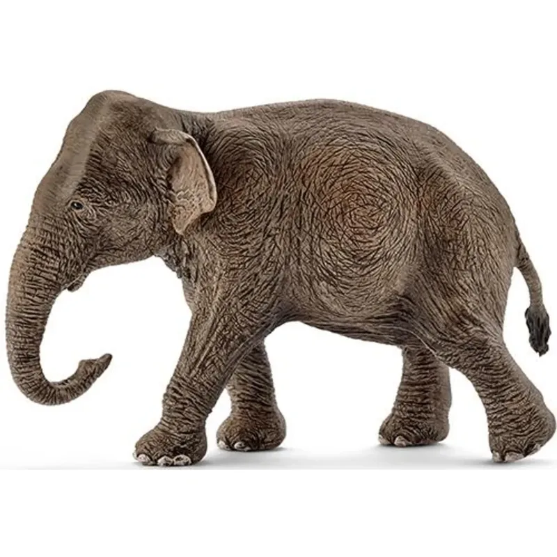 schleich® 14753 Asiatische Elefantenkuh van Schleich – productfoto
