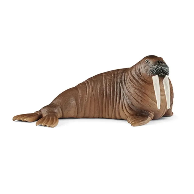 schleich® 14803 Walross van Schleich – productfoto