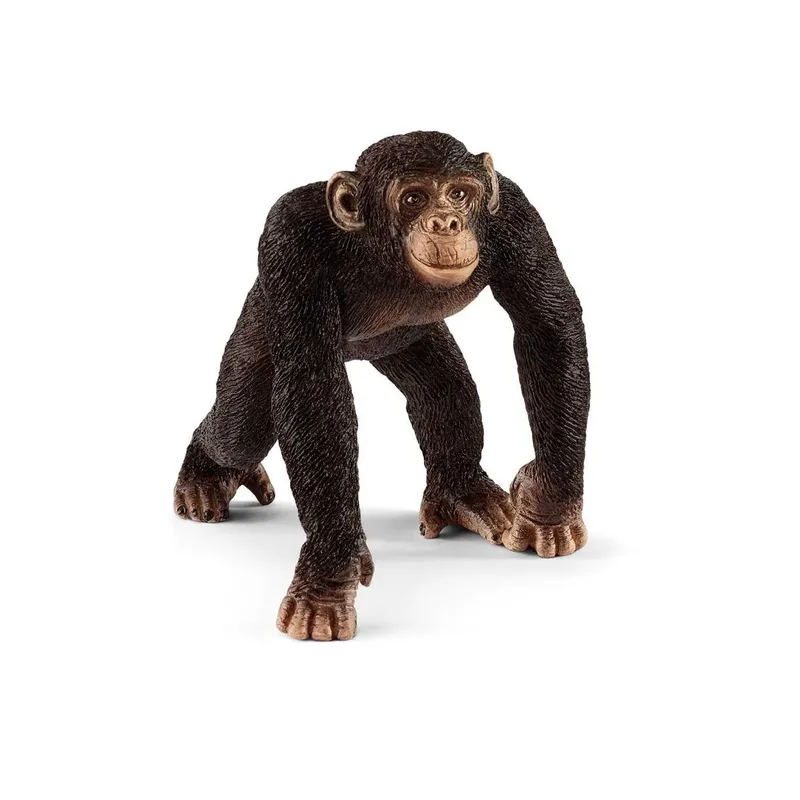 schleich® 14817 Schimpanse Männchen de Schleich – photo du produit