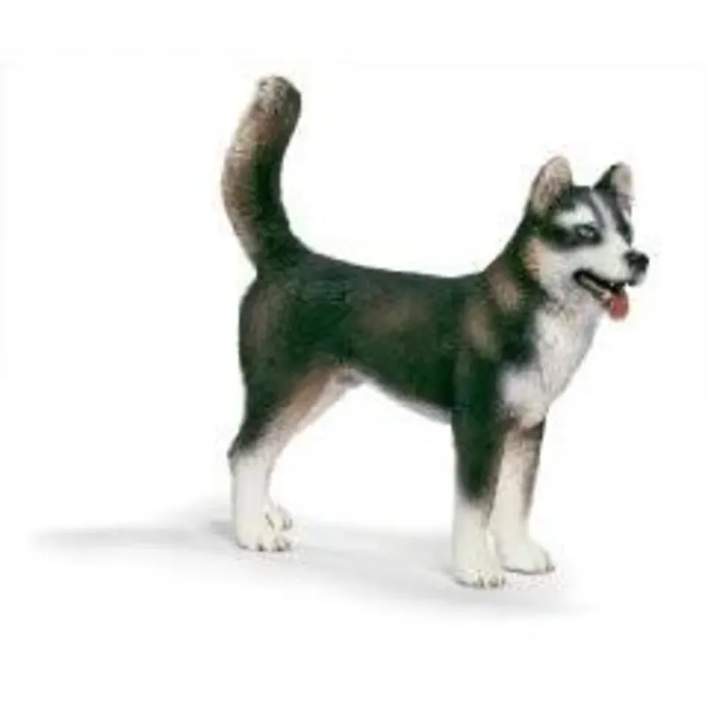 schleich® 16371 Husky Rüde by Schleich – product photo
