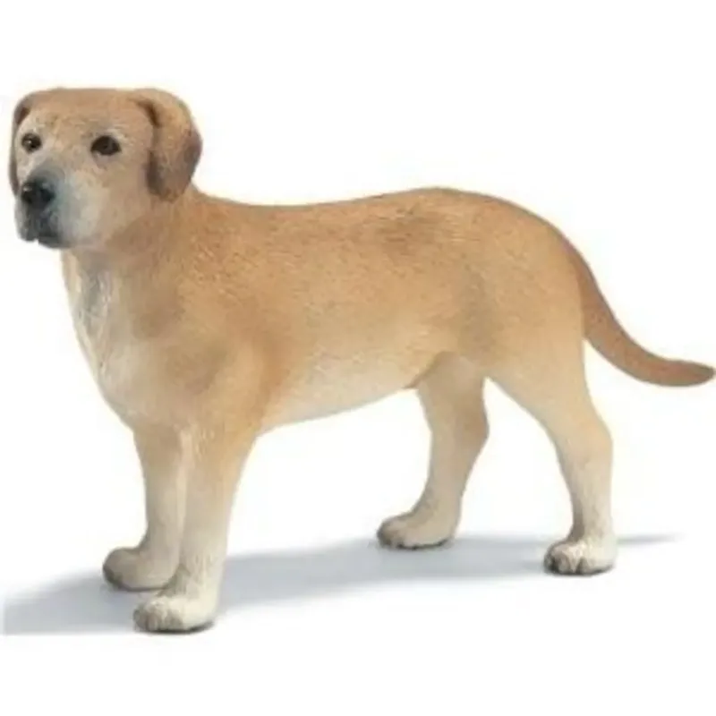 schleich® 16386 Labrador Rüde de Schleich – photo du produit