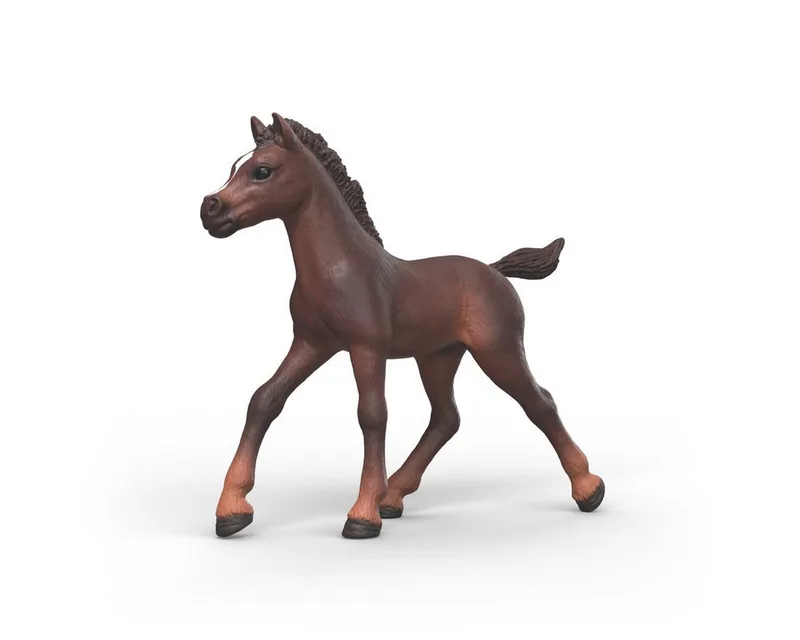 Spielfigur HORSE CLUB, Sammelfohlen Ravi (81479) by Schleich in Bunt – product photo