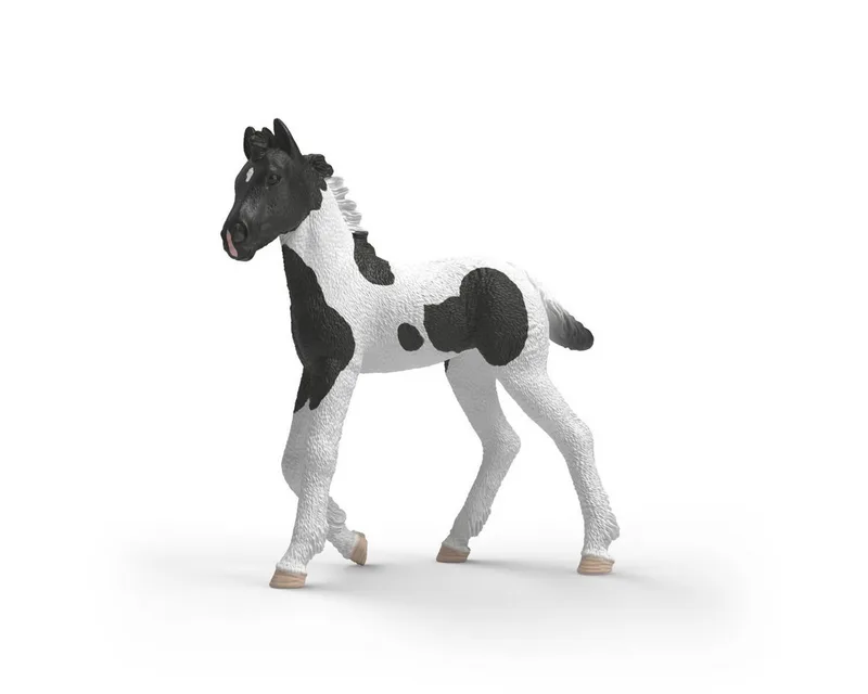 Spielfigur HORSE CLUB, Sammelfohlen Rocky (81481) by Schleich in Bunt – product photo