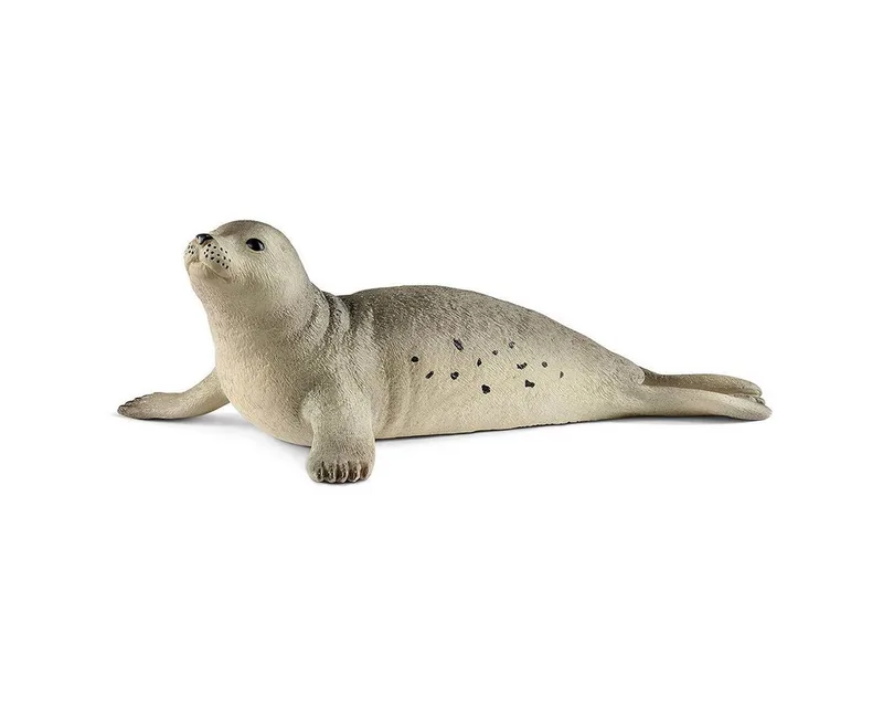 Spielfigur Schleich 17032 - Wild Life - Seehund (14801) by Schleich in Bunt – product photo