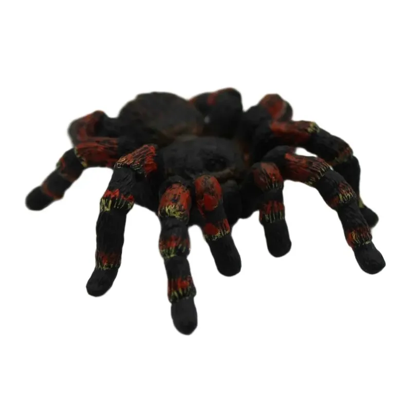 Tarantula Figuur de Schleich – photo du produit
