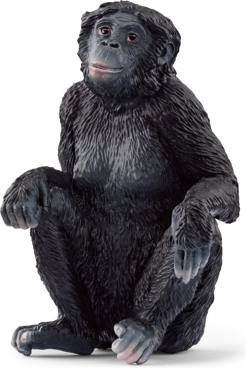 WILD LIFE - Bonobovrouwtje - 14875 by Schleich in Zwart – product photo