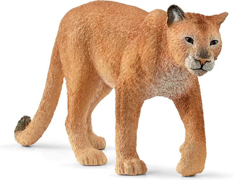 WILD LIFE - Speelfiguur - Kinderspeelgoed voor Jongens en Meisjes - 3 tot 8 jaar - 14853 by Schleich in Poema – product photo