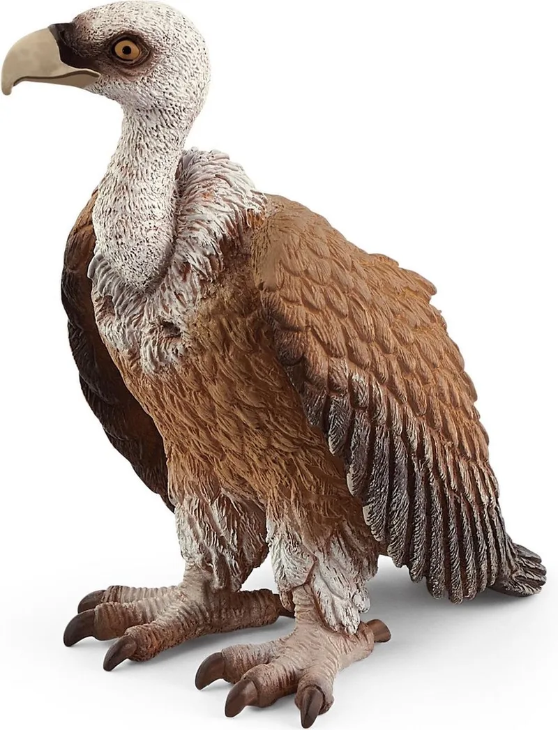 WILD LIFE - Speelfiguur - Kinderspeelgoed voor Jongens en Meisjes - 3 tot 8 jaar - 14847 by Schleich in Gier – product photo