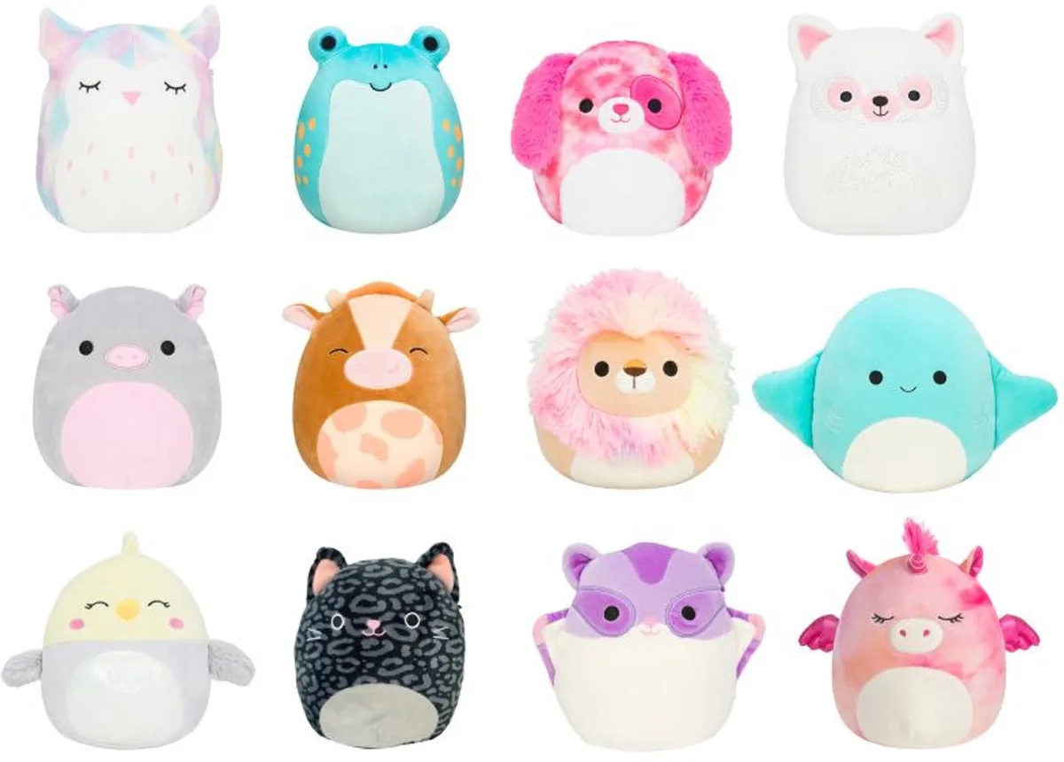 Knuffel - 19CM - Doxl the Frog met Adoption Certificate by Squishmallows in Ainhoca – product photo