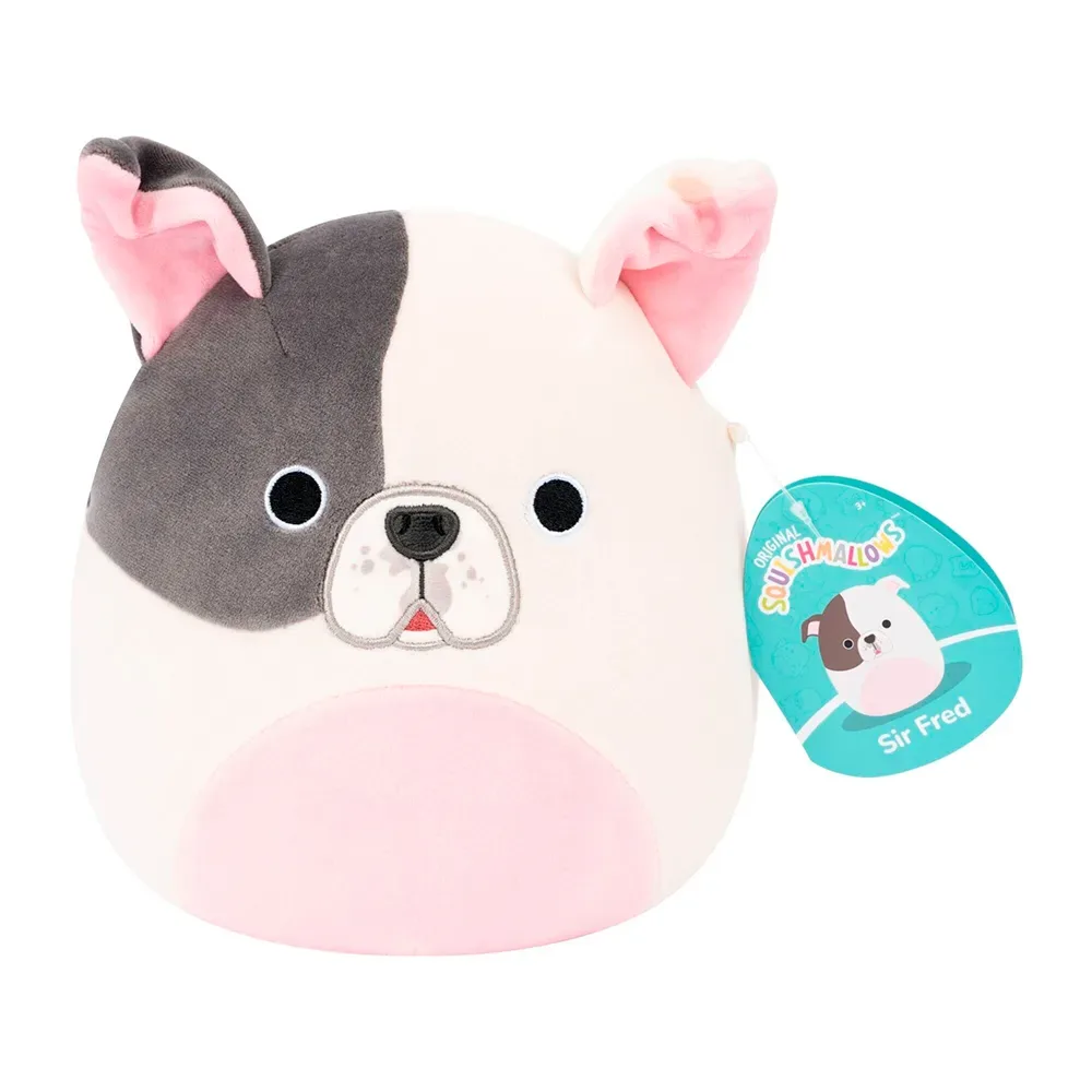 Nounours P27-sir Fred Pitbull 19 Cm de Squishmallows – photo du produit